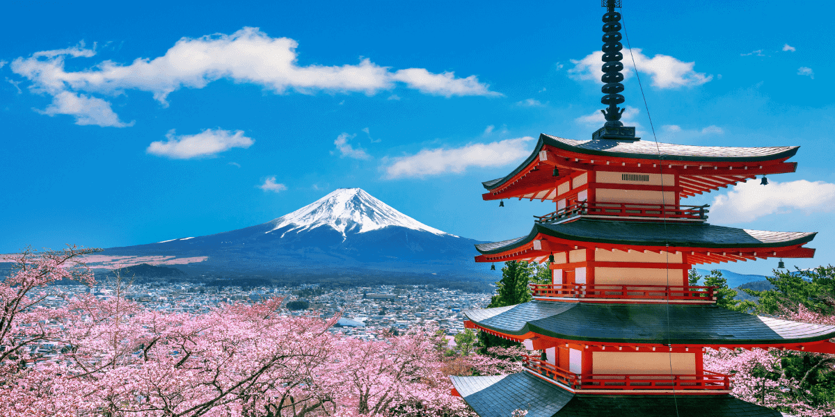 Experience the Magic of Cherry Blossoms in Japan 2025